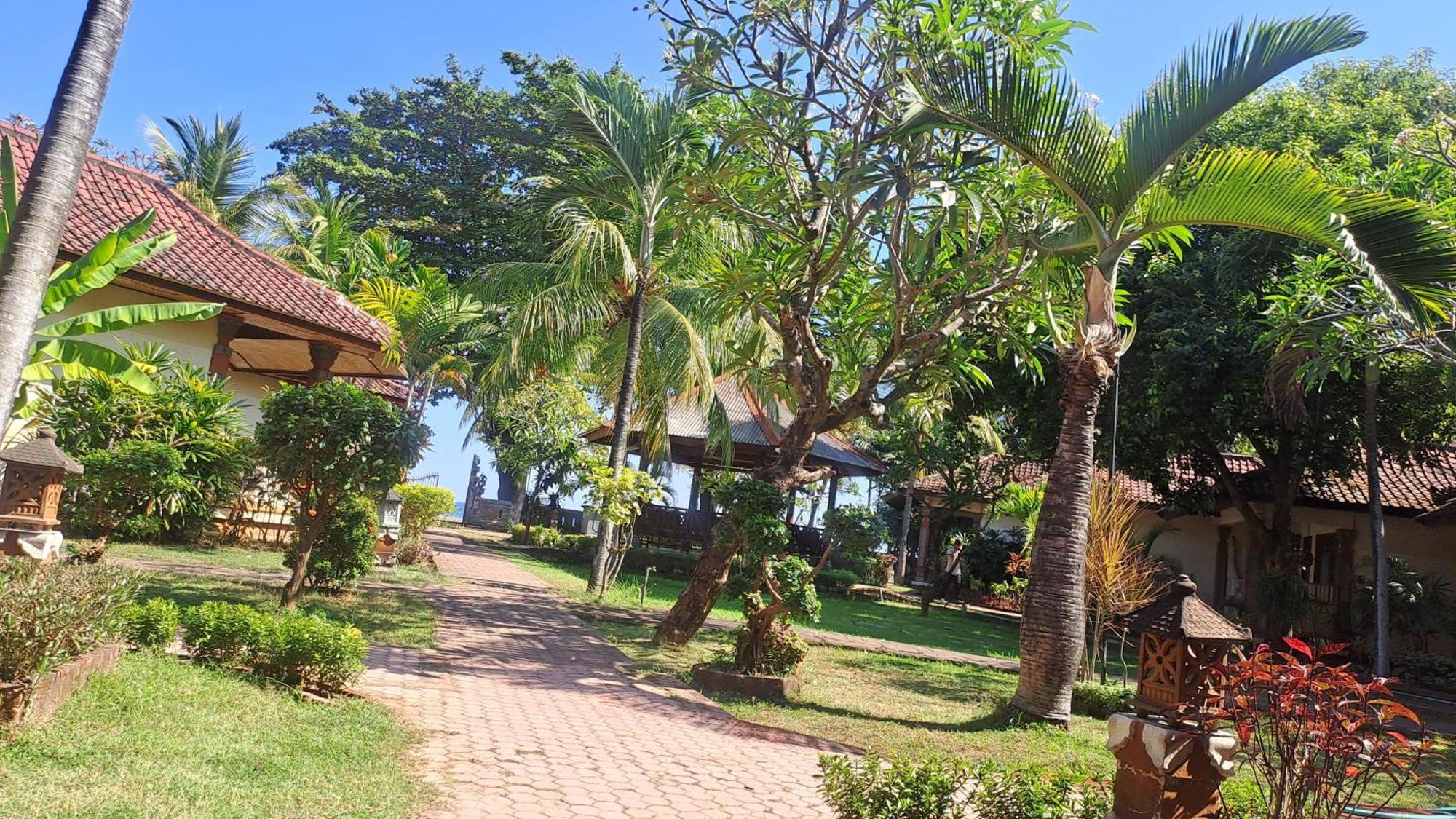 Lovina Beach Hotel Exteriör bild